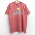 ジャクソンホール 90s 半袖Tシャツ ブラウン XL | 古着