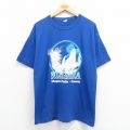 80s 半袖Tシャツ ナイアガラの滝 ブルー XL | 古着