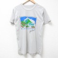 00s 半袖Tシャツ ブルーマウンテン グレー S | 古着