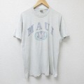 フルーツオブザルーム 90s 半袖Tシャツ マウイ グレー XL | 古着