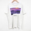 バーモント 90s 半袖Tシャツ 霜降り グレー L | 古着