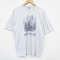 XL★古着 ヘインズ Hanes 半袖 ビンテージ Tシャツ メンズ 00年代 00s 星条旗 大きいサイズ クルーネック 薄グレー 霜降り 25sep01 中古