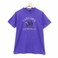 フルーツオブザルーム 90s 半袖Tシャツ 競馬 パープル M | 古着