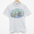 90s 半袖Tシャツ グレートスモーキー山脈国立公園 グレー L | 古着