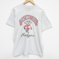 フルーツオブザルーム 90s 半袖Tシャツ ウィスコンシンバジャーズ グレー L | 古着