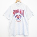 フルーツオブザルーム 90s 半袖Tシャツ チェコスロバキア グレー XL | 古着