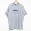 All Sports 90s 半袖Tシャツ フォーレンダム グレー XL | 古着