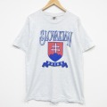 フルーツオブザルーム 00s 半袖Tシャツ スロバキア グレー メンズL相当 | 古着
