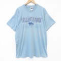 90s 半袖Tシャツ 国立公園 イエロー メンズXL相当 | 古着