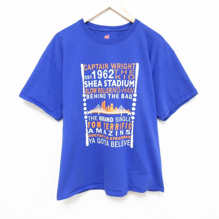 ヘインズ 半袖Tシャツ 橋 ブルー XL | 古着