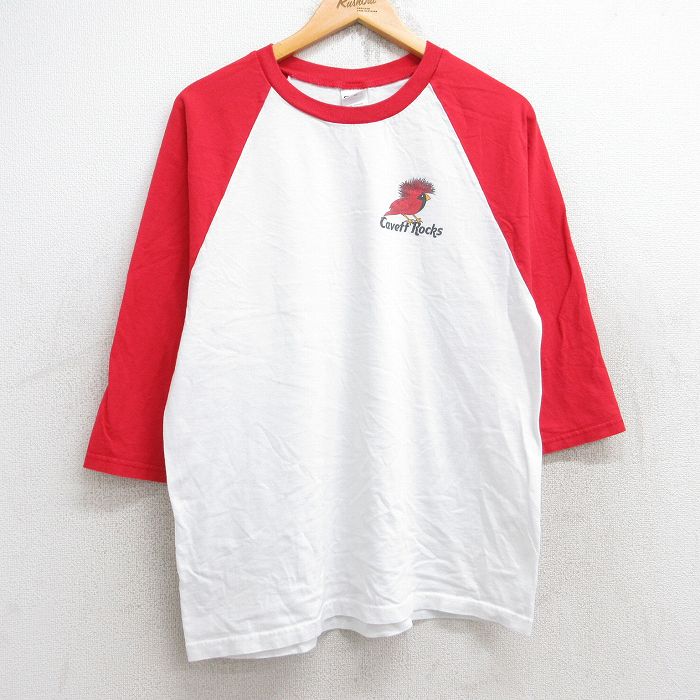 M★古着 7分袖 ビンテージ Tシャツ メンズ 00年代 00s 鳥 Cavett Rocks ラグラン ツートンカラー コットン クルーネック 白他 ホワイト 25aug22 中古 7分丈 七分丈 七分袖