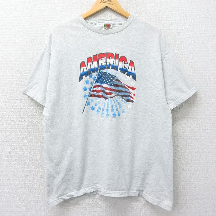 フルーツオブザルーム 00s 半袖Tシャツ 星条旗 グレー XL | 古着