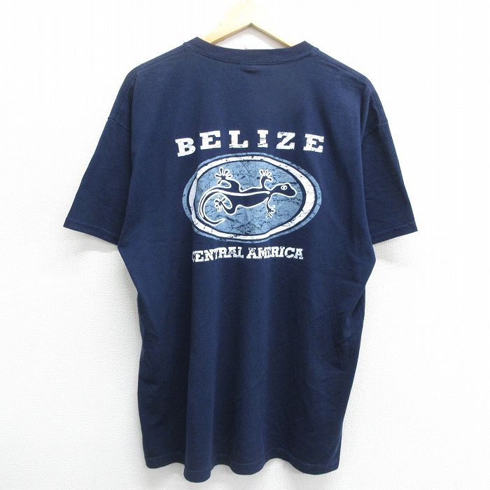 フルーツオブザルーム 00s 半袖Tシャツ ベリーズトカゲ ネイビー XL | 古着