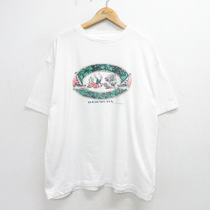 XL★古着 半袖 ビンテージ Tシャツ メンズ 00年代 00s 魚 バミューダ 大きいサイズ コットン クルーネック 白 ホワイト 24may16 中古