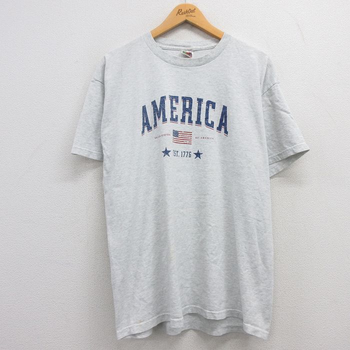フルーツオブザルーム 00s 半袖Tシャツ 星条旗 グレー XL | 古着