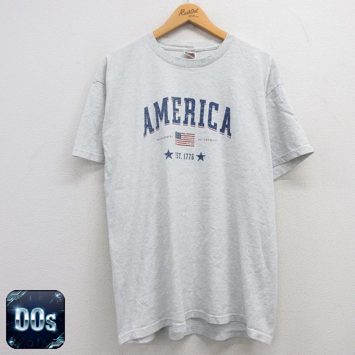 フルーツオブザルーム 00s 半袖Tシャツ 星条旗 グレー XL | 古着