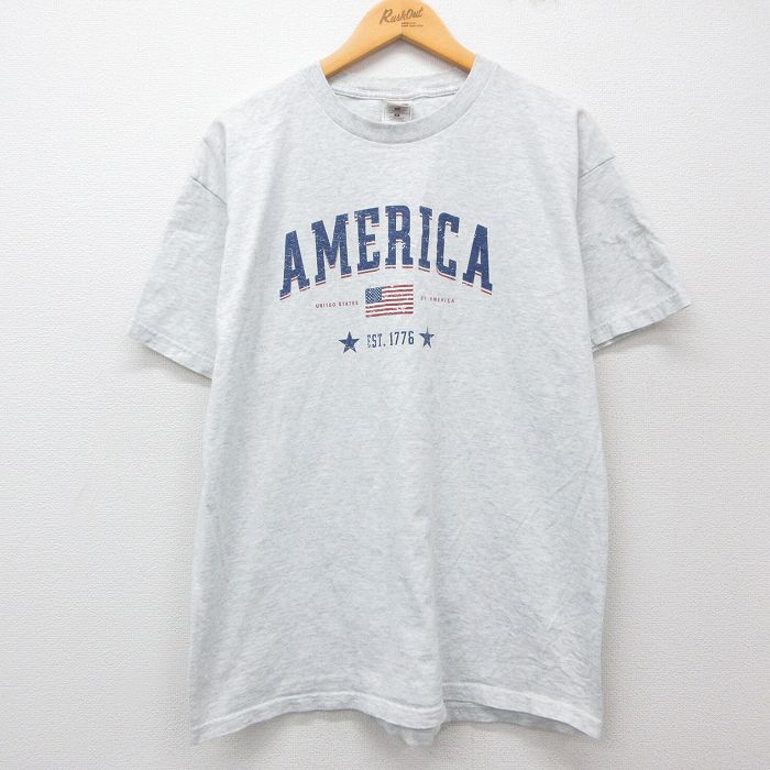 フルーツオブザルーム 00s 半袖Tシャツ 星条旗 グレー XL | 古着