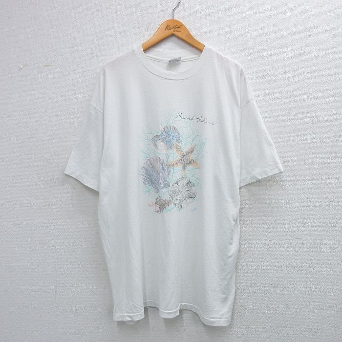 【50%OFF】ヘインズ 80s 半袖Tシャツ 貝がら ホワイト XL | 古着