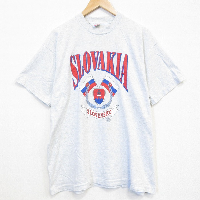 フルーツオブザルーム 90s 半袖Tシャツ チェコスロバキア グレー XL | 古着