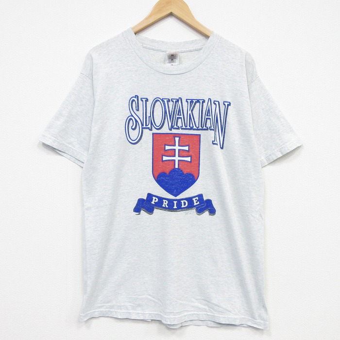フルーツオブザルーム 00s 半袖Tシャツ スロバキア グレー メンズL相当 | 古着