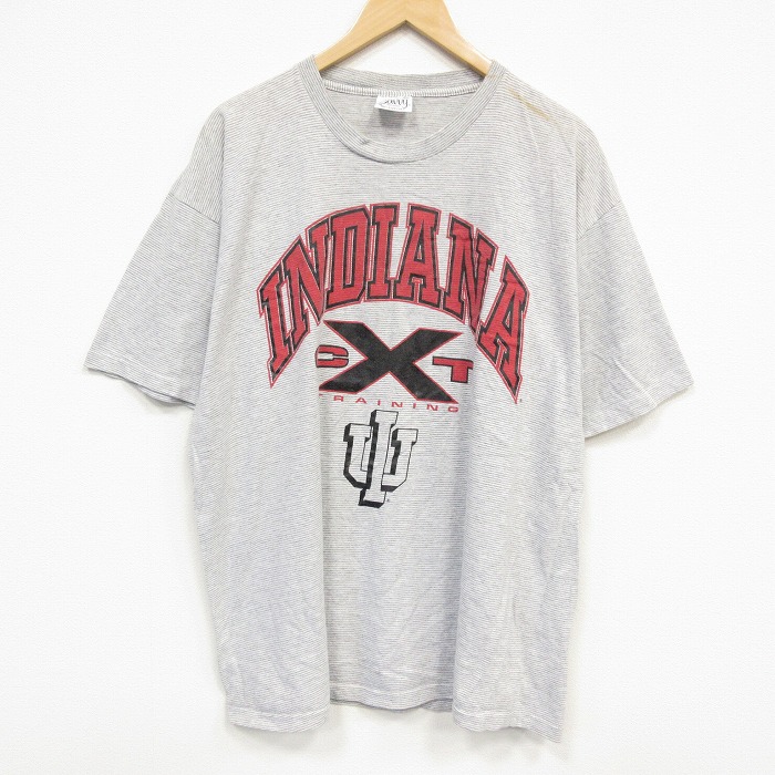 90s 半袖Tシャツ インディアナカレッジ ボーダー グレー メンズXL相当 | 古着