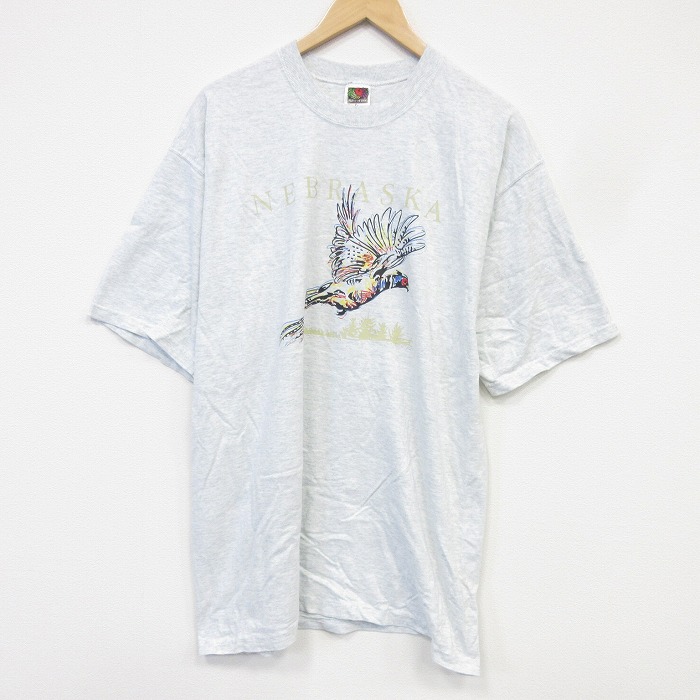 フルーツオブザルーム 90s 半袖Tシャツ 霜降り グレー メンズXL相当 | 古着