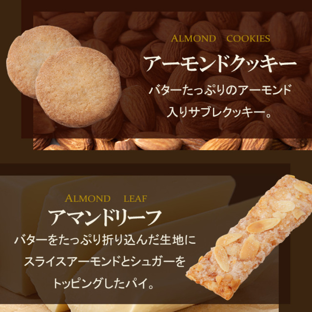 【送料無料】ロイスダールセットL-504<アマンドリーフ×20、クッキー×63(9種類)>