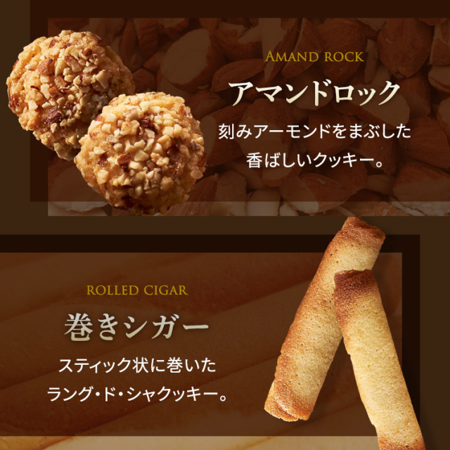 新品！！RIISE クッキー型6点セット ロンジェ サマーバケーション<クッキー×23(8種類)>｜ロイスダール