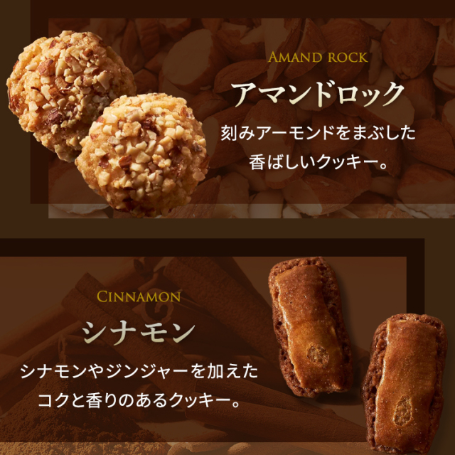 【送料無料】ロイスダールセットL-504<アマンドリーフ×20、クッキー×63(9種類)>