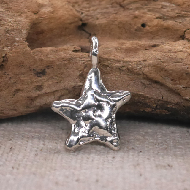 RYOKU 星の煌めき シルバーペンダントトップ silver star pendant
