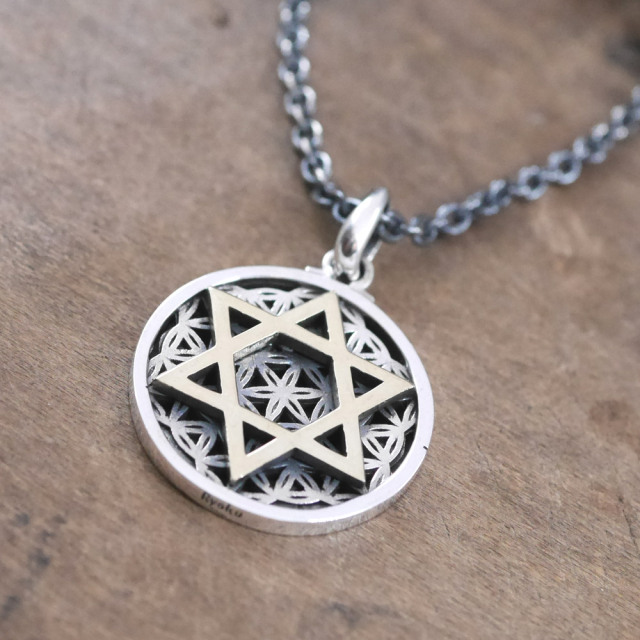 フラワーオブライフ × 六芒星 ペンダントトップ　silver × silver pendant top