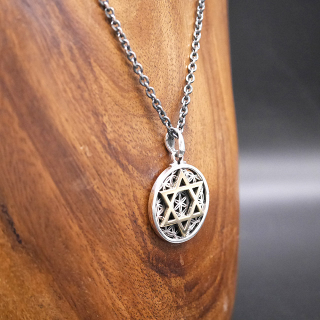 フラワーオブライフ × 六芒星 ペンダントトップ　silver × silver pendant top