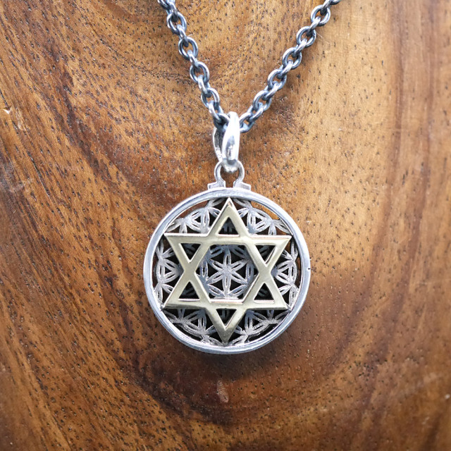 フラワーオブライフ × 六芒星 ペンダントトップ　silver × brass pendant top