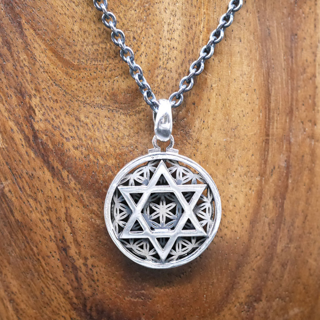フラワーオブライフ × 六芒星 ペンダントトップ　silver × silver pendant top