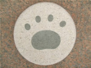 足跡入り飛び石