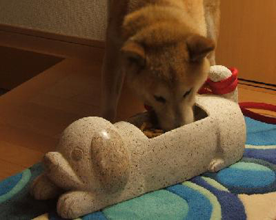 ワンちゃんのご飯入れ＆リード固定★お手入れ簡単★ペット食器入れ★給餌器★フードストッカー、容器★