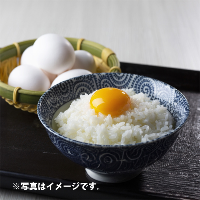 たまご_盛付イメージ