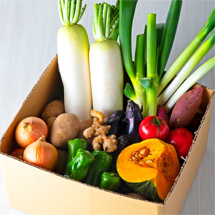【定期購入】旬の野菜セット