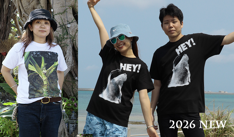 2026年新作