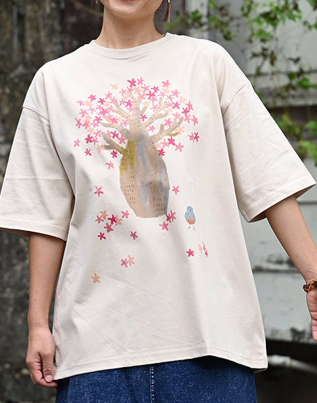 トックリキワタとイソヒヨさん