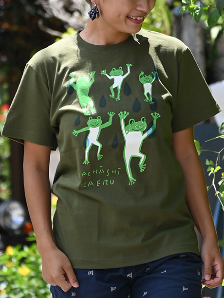 カチャーシーカエル