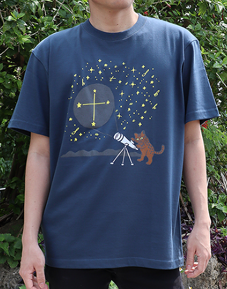 イリオモテヤマネコと南十字星