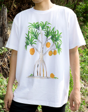 アダンの木の下で