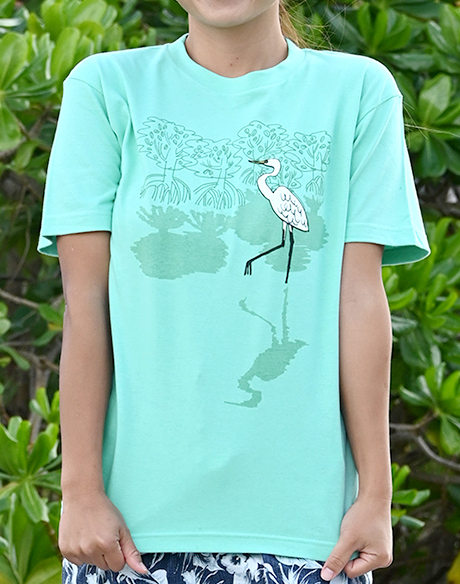 マングローブと渡り鳥