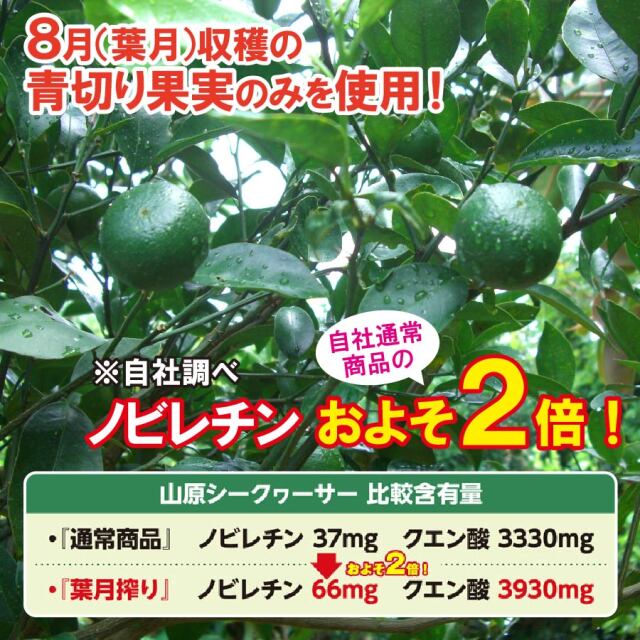 青切り 山原シークワーサー 葉月搾り 300ml×3本セット