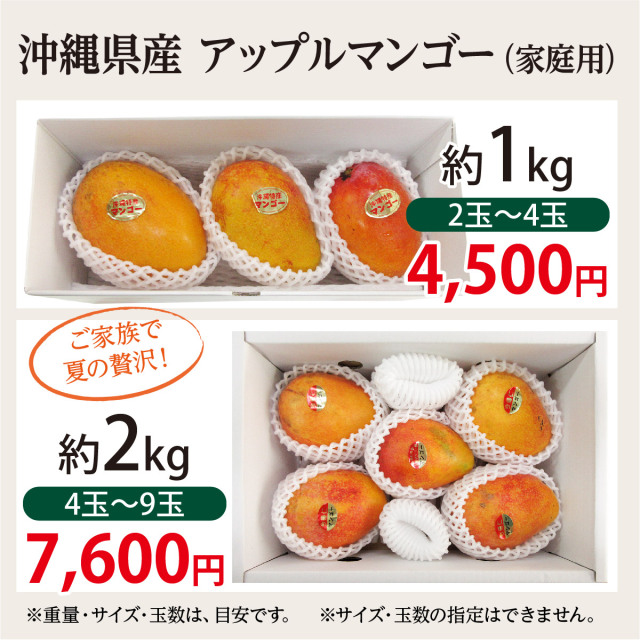 家庭用マンゴー　約2.3kg 6月発送）【訳アリ品！！】沖縄県産マンゴー2キロ（3～8個入り
