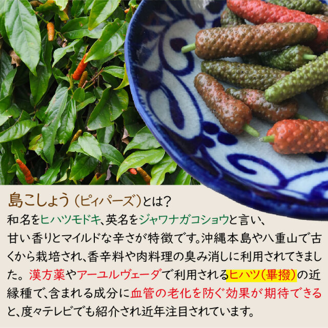 沖縄県産島こしょう 粗挽き ピィパーズ 20g 琉球フロントOnlineShop