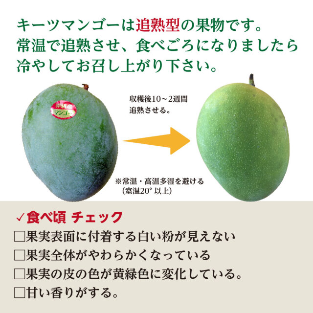沖縄県産 キーツマンゴー