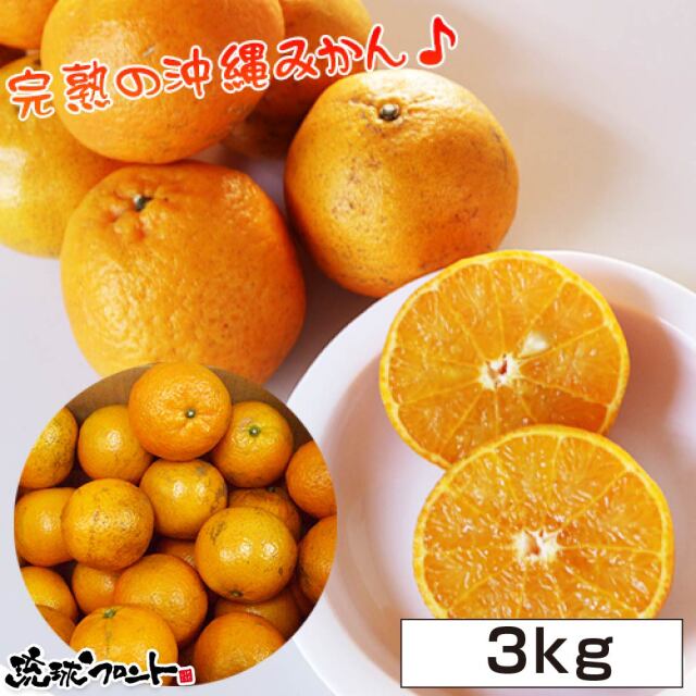 沖縄県産 たんかん 3kg