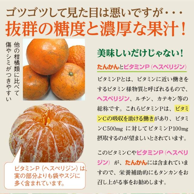 沖縄県産　タンカン